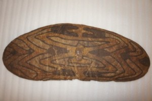 1900.55.166 Shield PRM