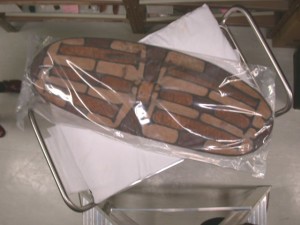 Photo by Trish Barnard