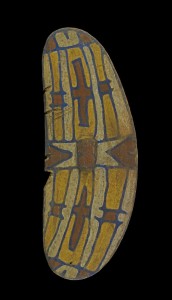 Photo by Dr Rosita Henry