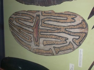 Photo by Trish Barnard