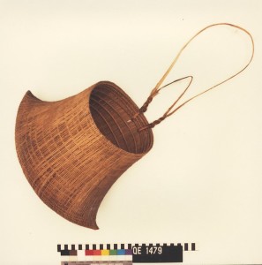 Courtesy Queensland Museum