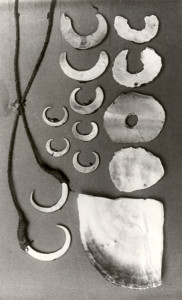 Collection of shells representing different stages of making fish hooks that were collected by Edmund Banfield.