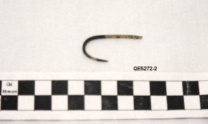 QE5272.2 Tortoise shell fish hook